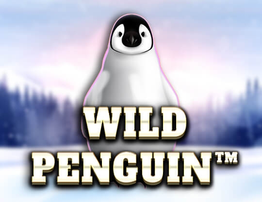 Wild Penguin